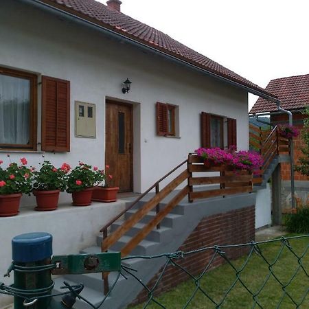 Apartman NINA Licko Petrovo Selo Bagian luar foto