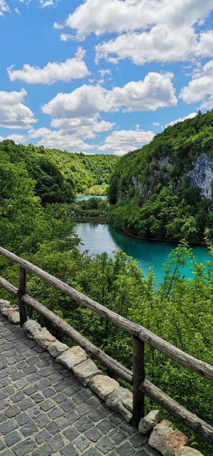 Apartman NINA Licko Petrovo Selo Bagian luar foto