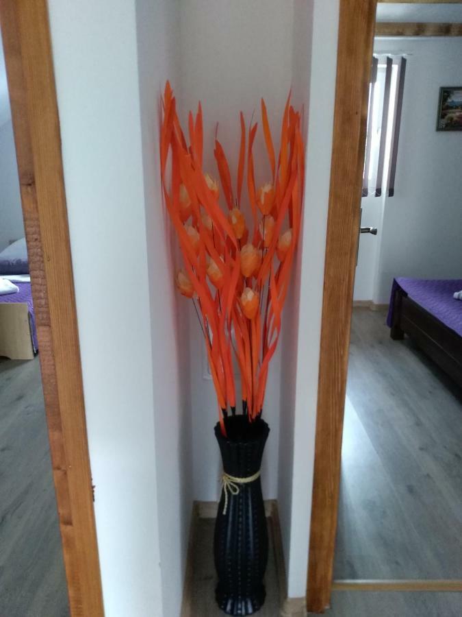 Apartman NINA Licko Petrovo Selo Bagian luar foto